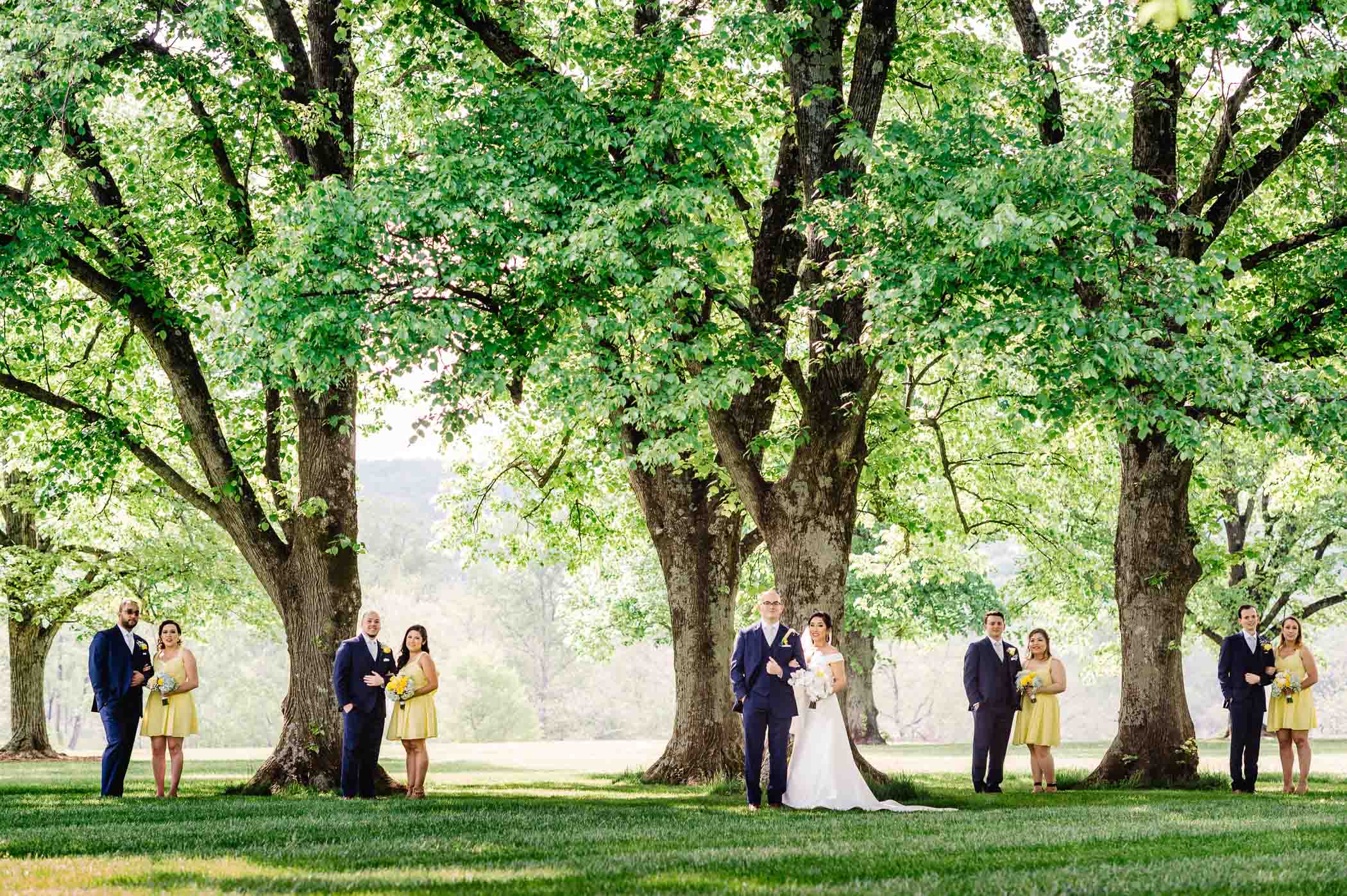 KM-weddingpreview00041
